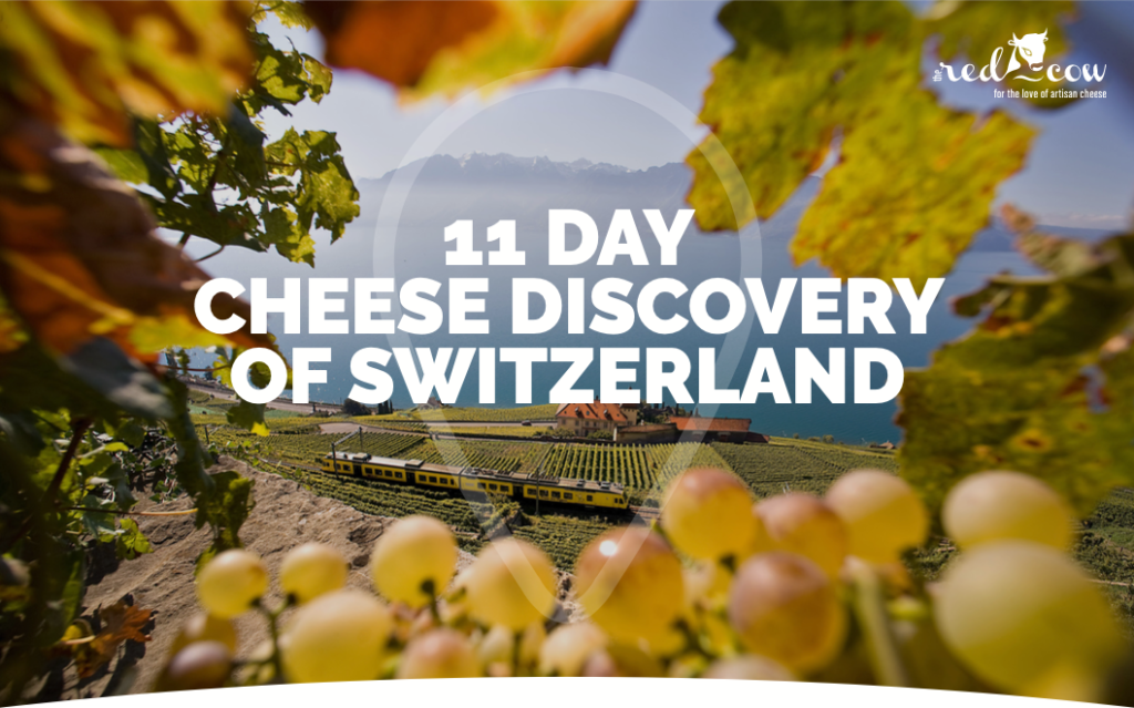 11 Day Cheese Discovery of Switzerland